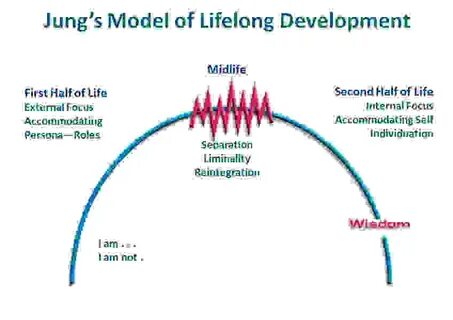 Stages of life