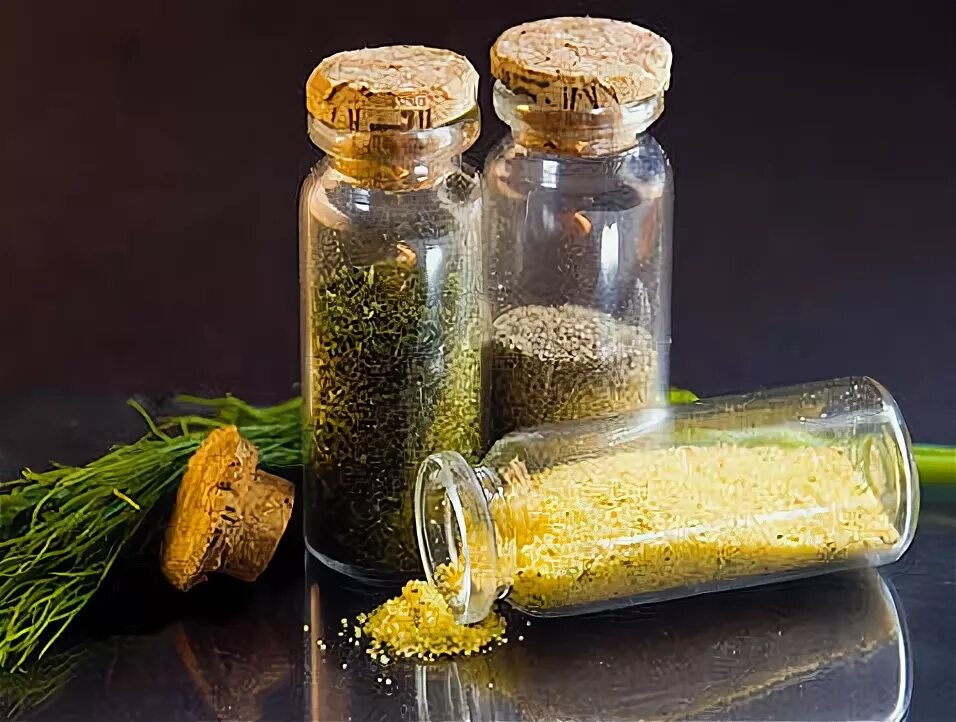 пищевые добавки е621. усилители вкуса и запаха пищевые добавки. усилители вкуса и запаха. усилители вкуса пищевые добавки. добавка е 621.