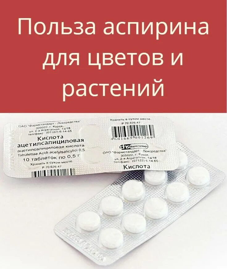 Сколько пить ацетилсалициловую кислоту для разжижения. Сколько пить ацетилсалициловую кислоту для разжижения
