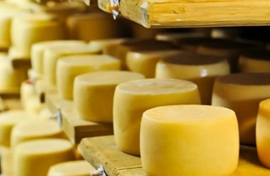 Сыр березка беларусь российский молодой. Сыр и сырный продукт. Сыр российский производство. Сыр российский холопеничи. Сыр российский молочный мир беларусь.