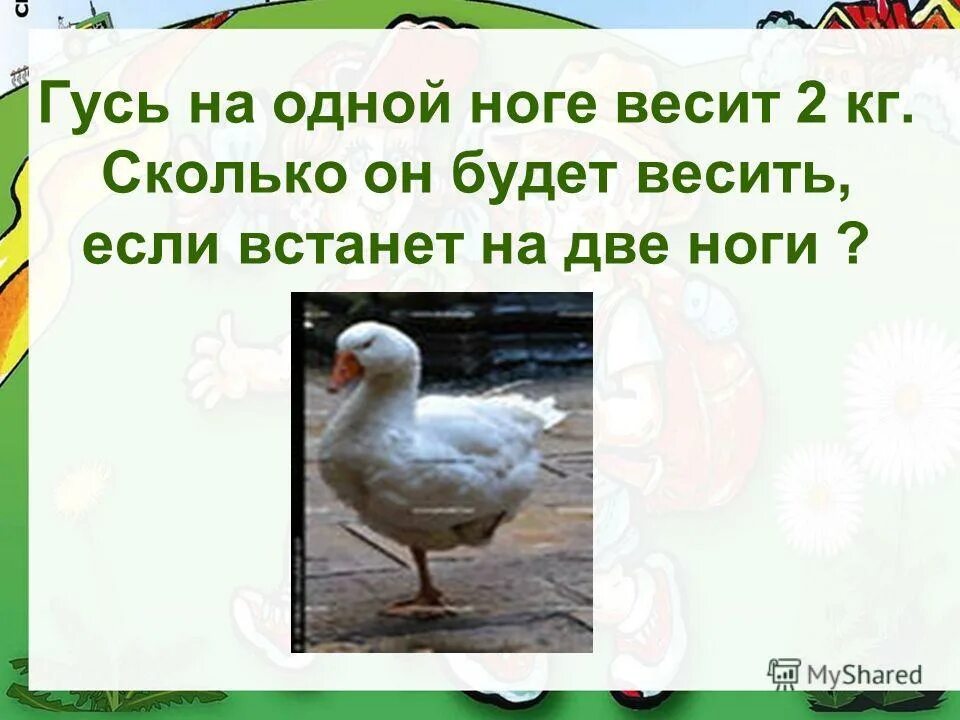 упражнения для развития равновесия. сколько весит курица. средний шаг человек равен. гусь стоит на одной ноге. шаг мера длины.