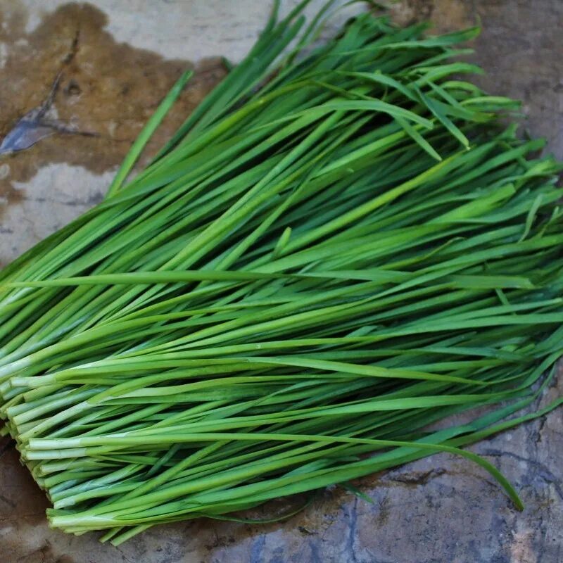 Chinese Chive - Cut Garlic - Allium tuberosum - 20+ seeds - R 041 eBay