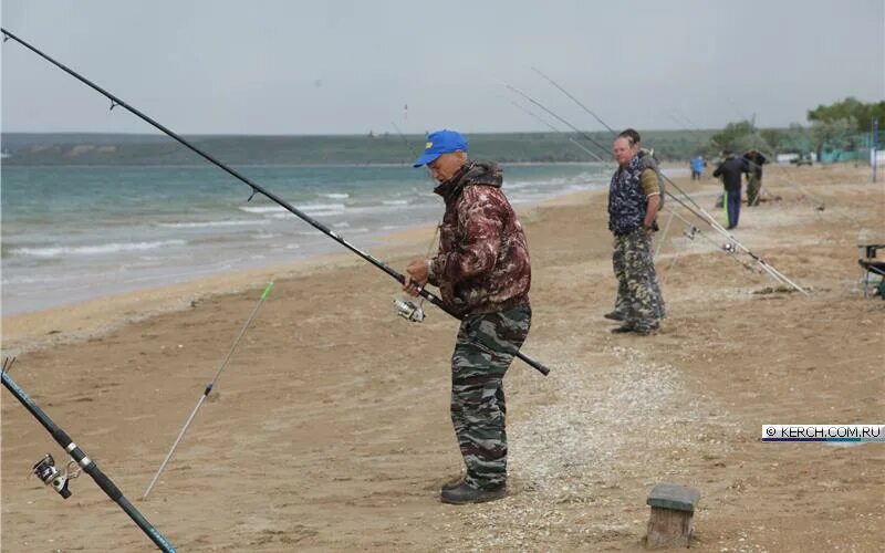 Сот рыбак. Рыбалка в Новоотрадное Крым. Рыбалка в Керчи. Ловля пеленгаса в Керчи. Керчь рыбалка в море.