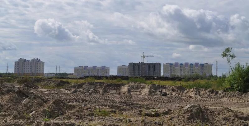 Пустырь в городе. Пустыри в александровке. Пустырь вид сверху. Незастроенный пустырь. Пустырь в городе.