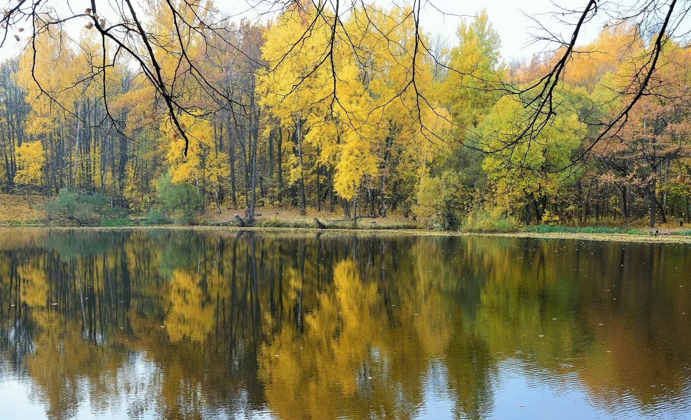 борис пастернак осень сказочный чертог. сказочный чертог. сказочный чертог. сказочный чертог всем открытый для обзора просеки лесных. пастернак стихи осень сказочный чертог.