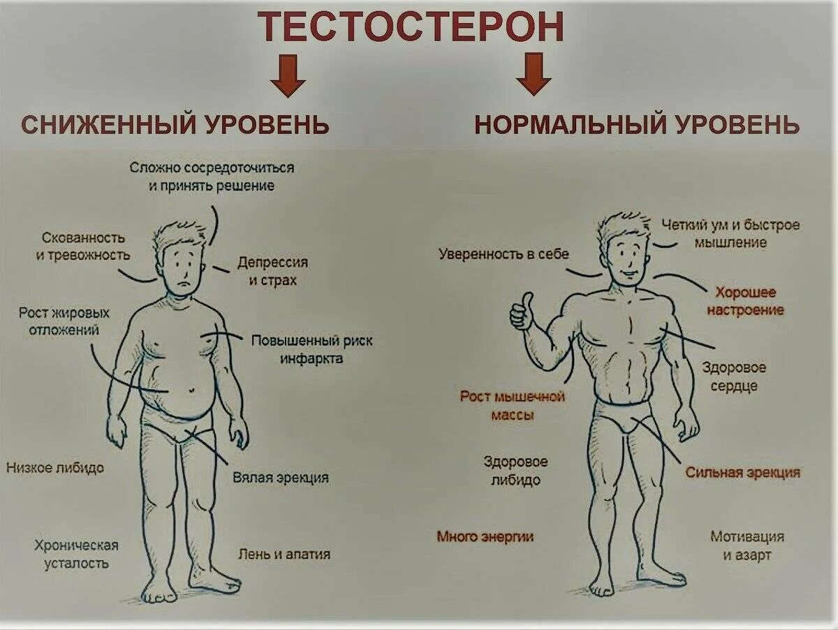 Как влияет уровень