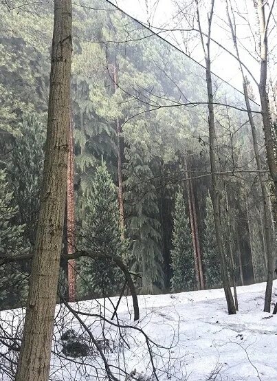 Заборы на рублевке. Рублевка барвиха жуковка. Высокий забор. Высокие заборы на рублевке. Рублево успенское шоссе 87.