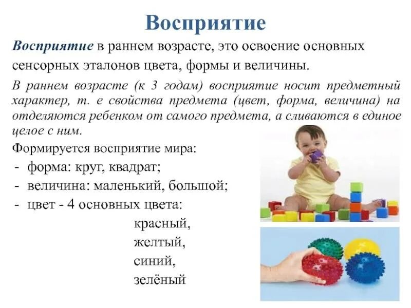 Восприятие у детей раннего возраста. Восприятие детей дошкольного возраста. Развитие восприятия в раннем возрасте. Зрительное восприятие в раннем возрасте. Старший дошкольник восприятие