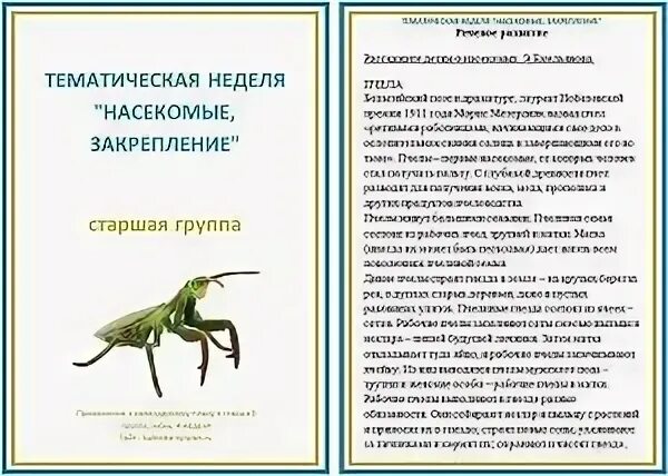 Календарное планирование насекомое младшая группа. Тематическая неделя насекомые. Тема недели насекомые в старшей группе. Тематическая неделя насекомые в старшей группе. Тема недели в детском саду насекомые.