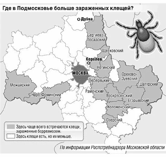 Клещи в Подмосковье карта. Энцефалитные клещи в Подмосковье карта. Клещи энцефалитные районы в Подмосковье 2020. Карта распространения клещевого энцефалита в Московской области.