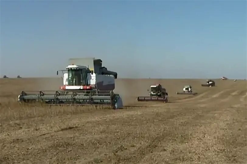 Уборка сои 2022. Агрофирма партизан. Продукция партизан в благовещенске. Кировец 2023. Агрофирма партизан.
