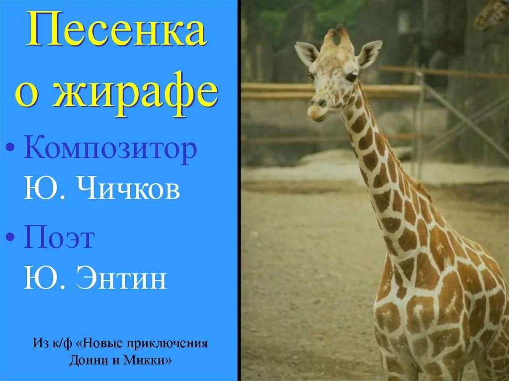 Песенка про жирафа автор. Песенка о жирафе. Жираф Ноты. Интересные факты о жирафе для детей. Песенка про жирафика.