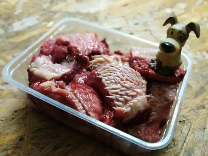 говяжья голова собакам