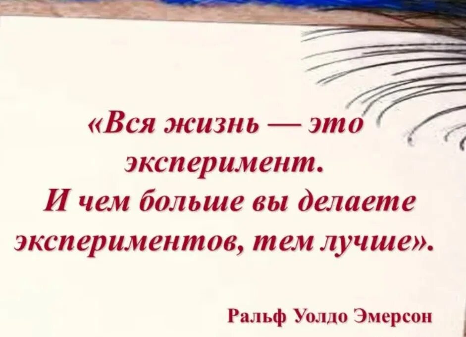 Жизненный опыт на тему настоящее искусство. Высказывания про опыт. Высказывания про эксперименты. Афоризмы про опыт. Цитаты про опыт в жизни.