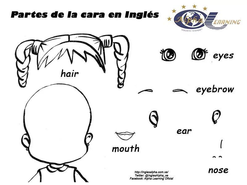 Eyes ears. Eyes nose mouth ears упражнения для детей. ears eyes and mouth задания для дошкольников. hair and eyes worksheets for kids. body parts for kids nose.