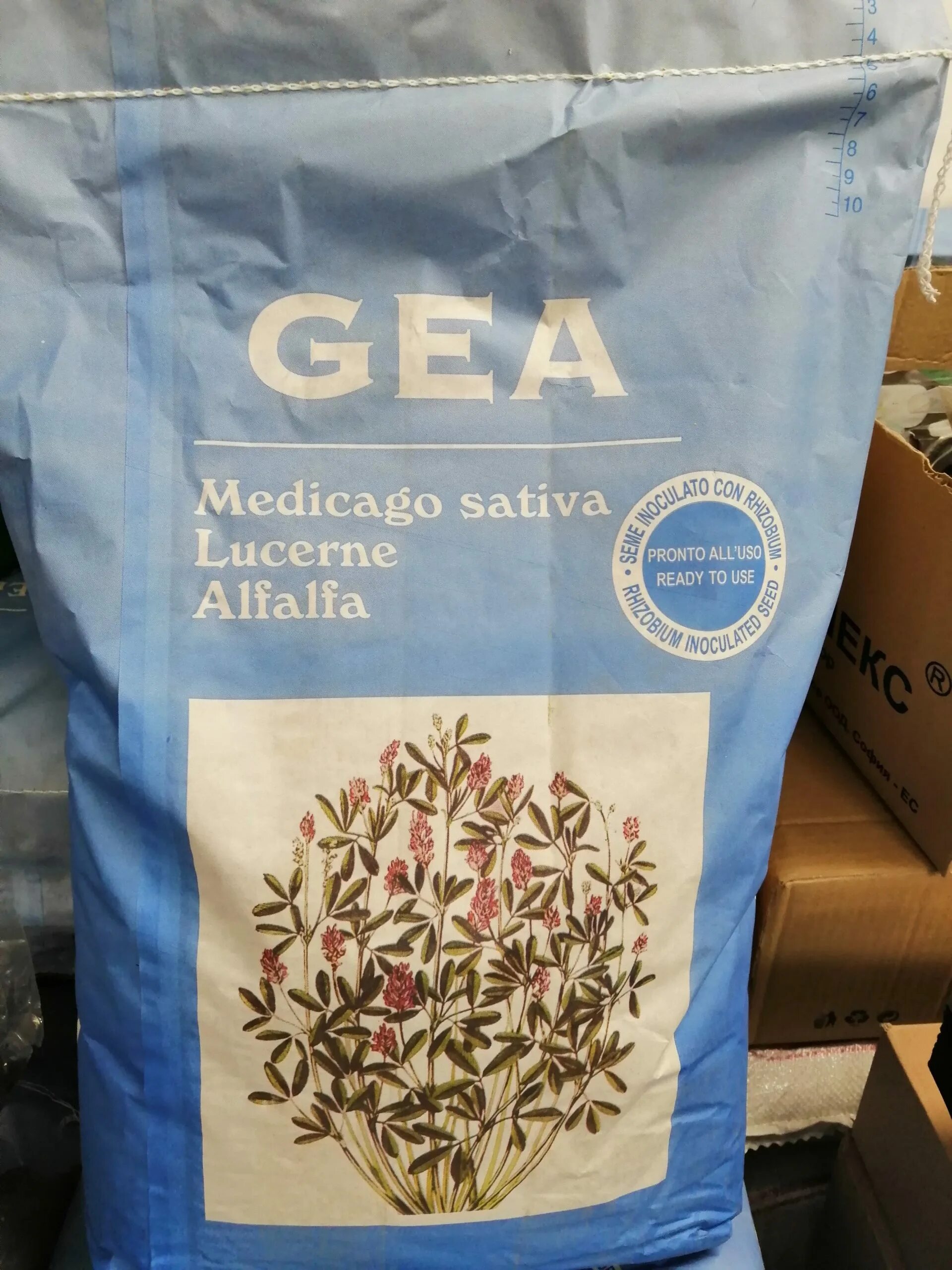 Люцерна gea. Люцерна джея. Семена люцерны gea. Семена итальянски люцерны итальянский джеа. Семена люцерны джеа gea.