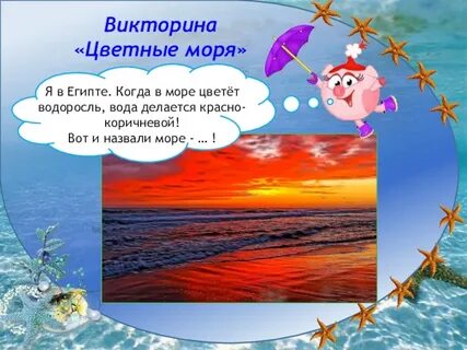 Проект море