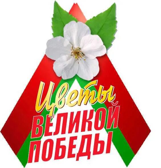 Цветы великой победы брсм