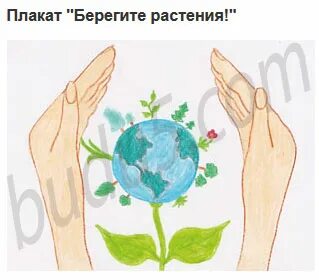 Берегите растения 3 класс