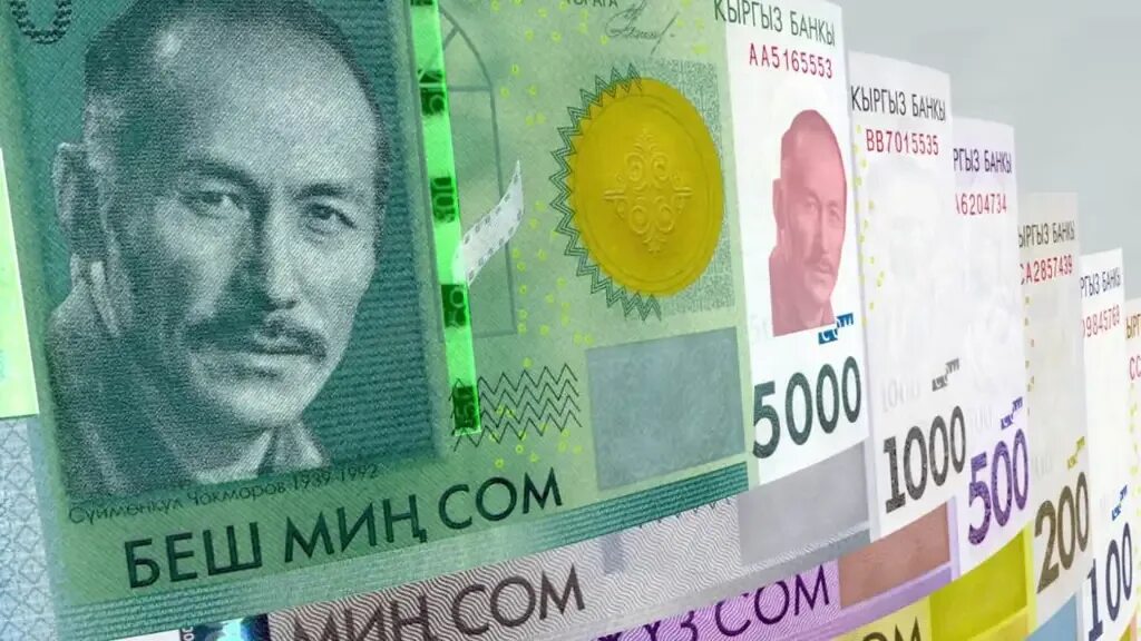 5000 сом киргизия. 20 сом киргизия. Валюта кыргызстана сом. Купюра 1000 сом. 5 тыс сом.