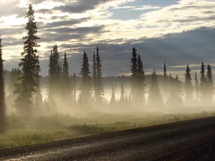 Fog