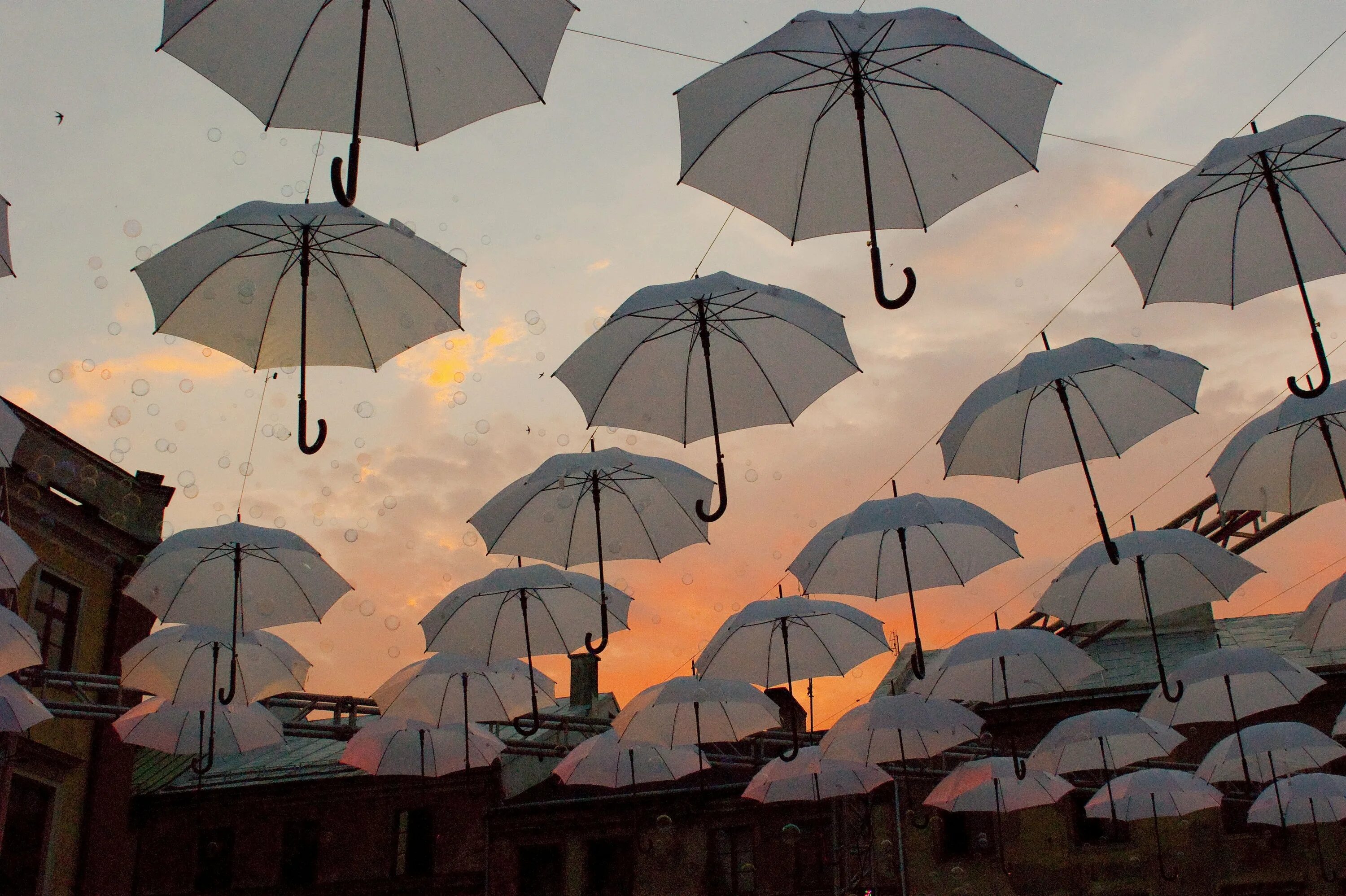 Зонтик г. Красивые зонтики. Много зонтиков. Много людей с зонтиками. Зонт Эстетика.