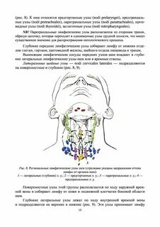 Можно греть лимфоузлы на шее