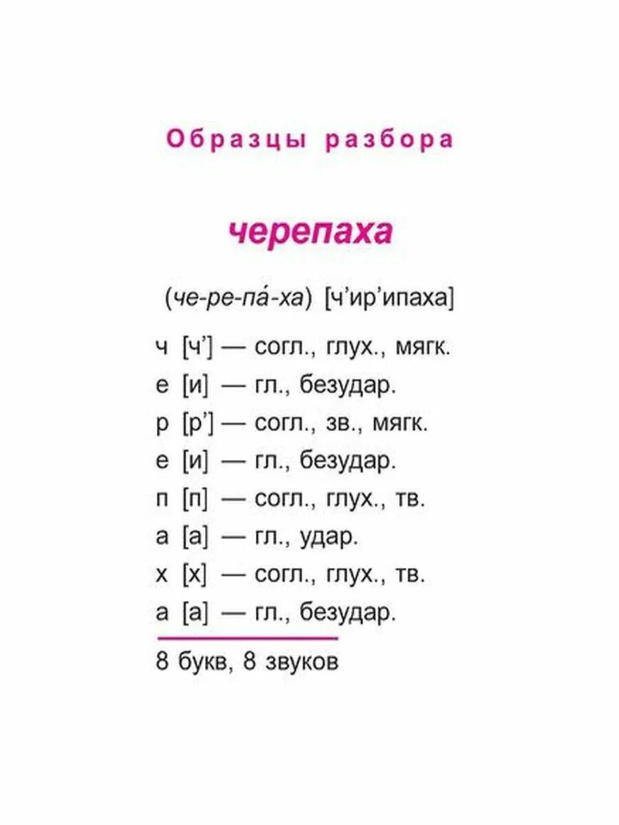 Какие разборы под цифрами. Разбор номер 1 по русскому языку. Разбор 1 в русском языке 4 класс. Разборы слов в русском языке. Виды разборов.