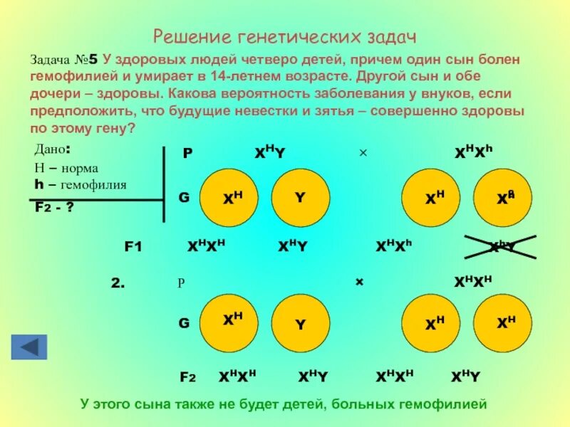 10 класс решение генетических задач. Задачи решение по генетике заболевания. Вывод по теме решение генетических задач по биологии. Задачи по генетике пола 9 класс с решением. Решение задач по генетике с нуля.