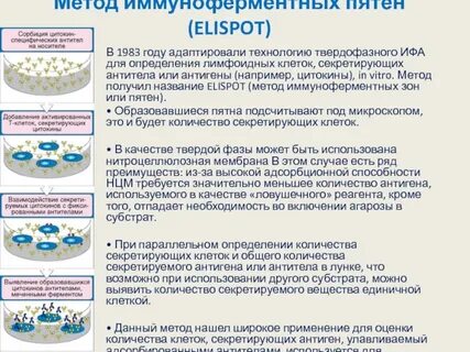 Тест метод ифа