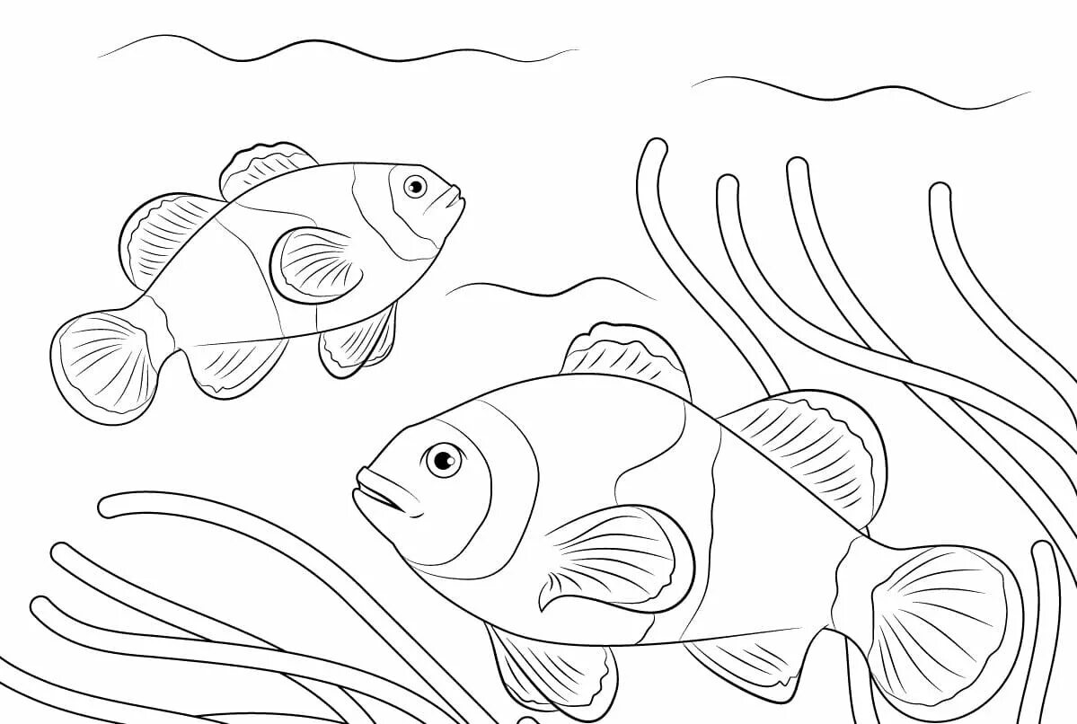 Раскраска рыбы для детей 7 лет. Раскраска рыбка. Рыба раскраска для детей. Аквариумные рыбки раскраска. Рыбка раскраска для детей.