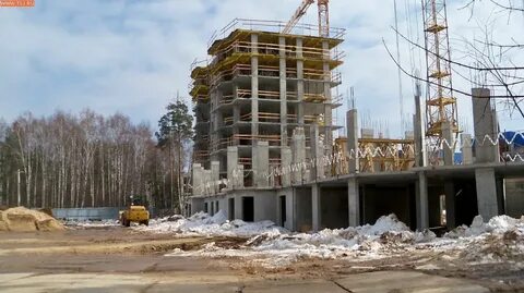 Кучино леоновское шоссе