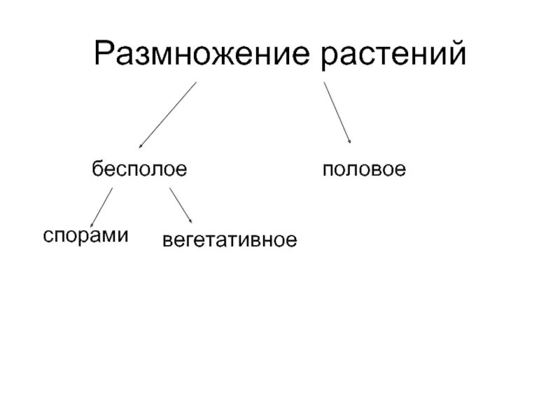 Назовите тип размножения