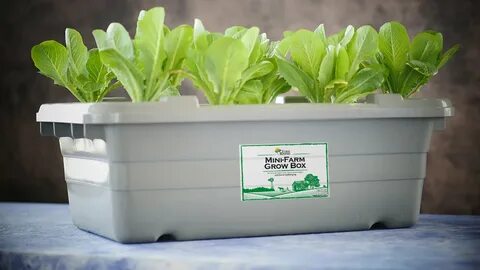 Growing things