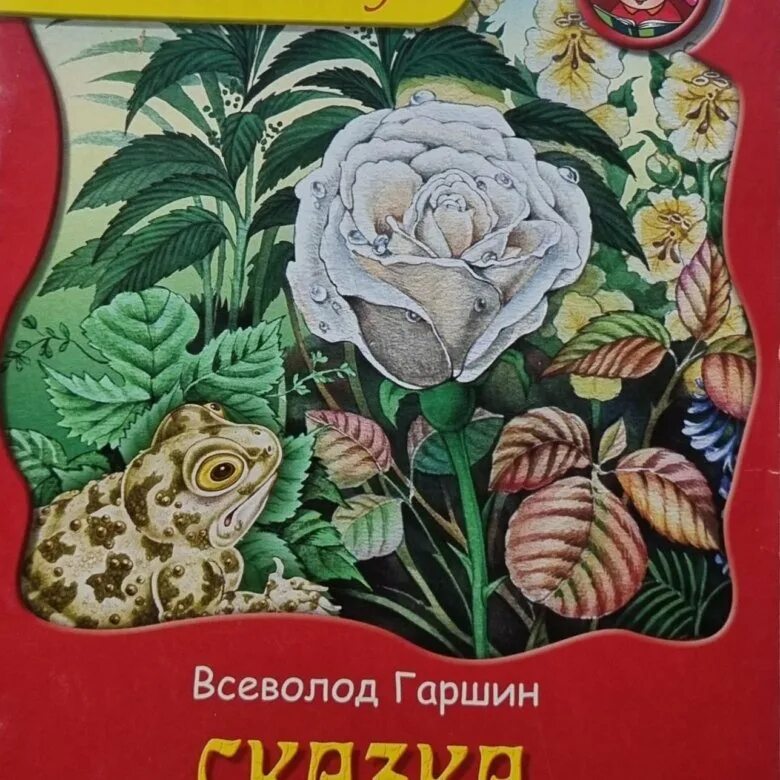 Гаршин читать сказку. Гаршин сказка о жабе и розе. сказка отжабе и розе гаршин.