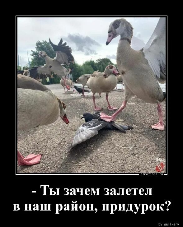 Почему залетают. Я хочу забеременеть. Почему залетают. Как забеременеть. Почему залетают.