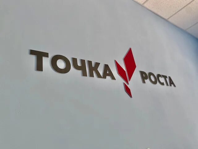 Картинка точка роста логотип. Точка роста. Точка роста объяснение. Точка роста объяснение. Точка росы.