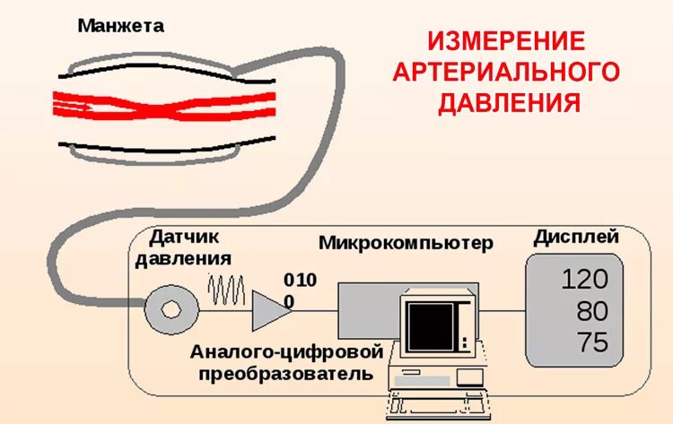 Осциллометрический метод измерения ад схема. Осциллометрический метод измерения давления. Принцип действия автоматического тонометра. Методы измерения артериального давления схема.