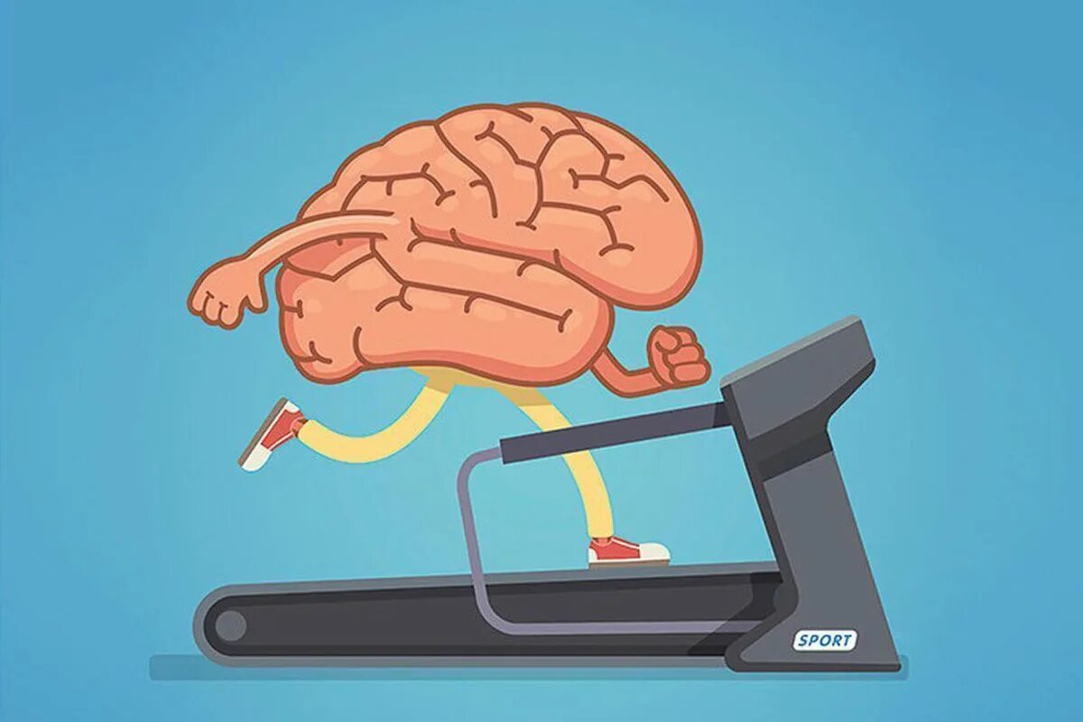 центр развития мозга симферополь. центр развития мозга. центр развития мозга. урицкого 51. нейротренинг мозга.