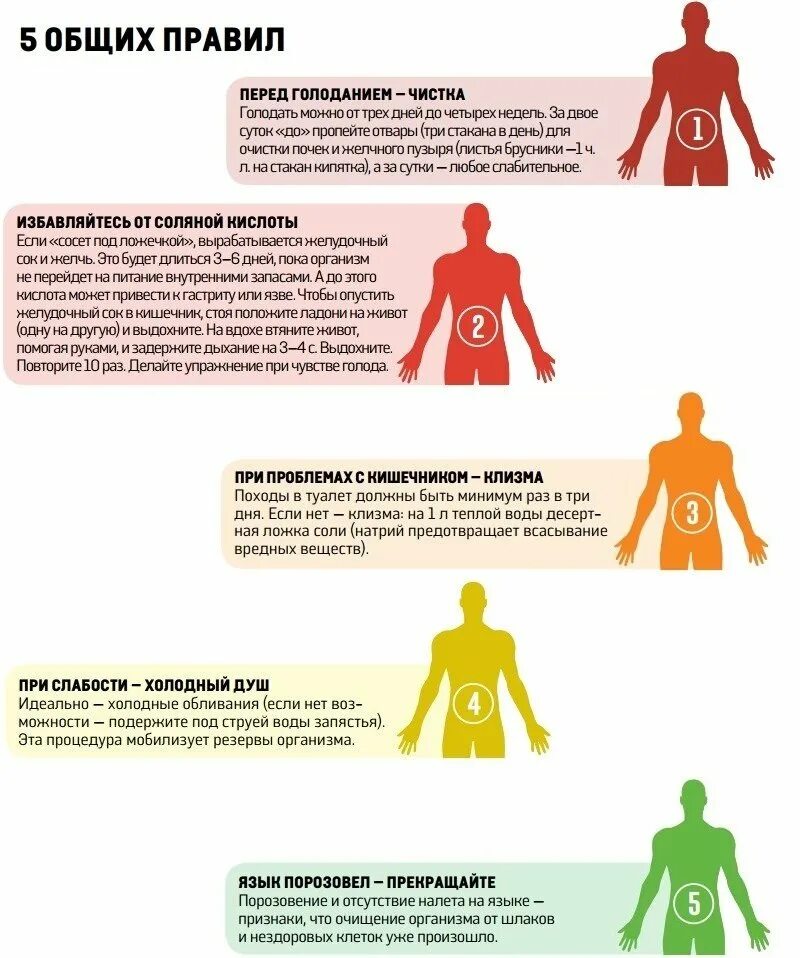 На каких картинках изображены признаки физического голода. Как правильно голодать. Голодать полезно. Лечебное голодание схема. Лечебное голодание.