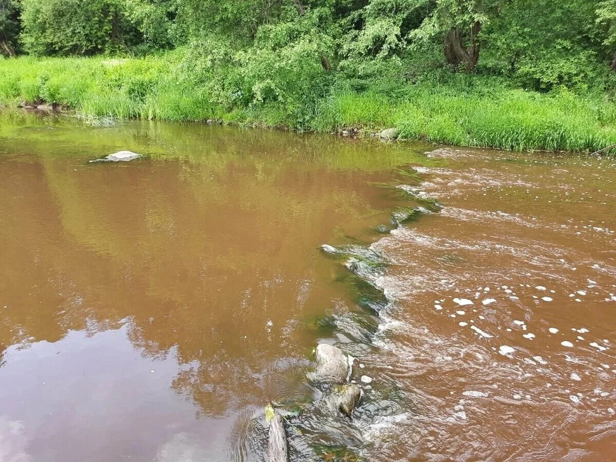 Помнит только мутной реки вода. Река Войтоловка. Вода река. Мутная вода в реке. Грязная вода в реке.