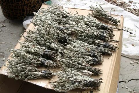Сколько нужно вербочек на вербное воскресенье штук