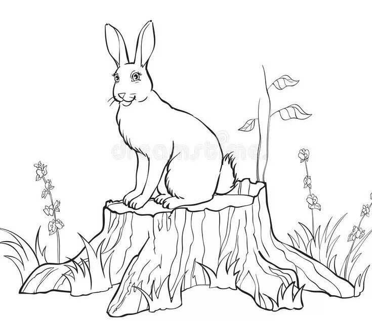 зайка на пеньке. заяц в графике. заяц сидит на пеньке. заяц рисунок. заяц барабанит лапами.