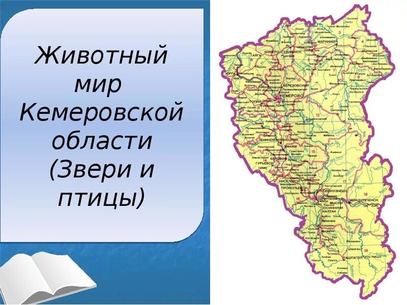 Кемеровская область находится в зоне. Географическая карта Кузбасса. Географическая карта Кемеровской области. Карта Кемеровской области Кузбасса. Физическая карта Кемеровской области.