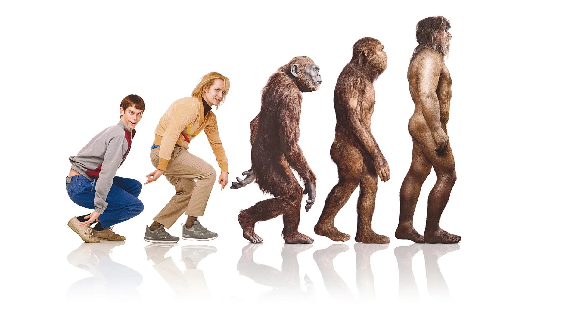 Эволюция обезьяны в человека. Человек превращается в обезьяну. Как появились обезьяны