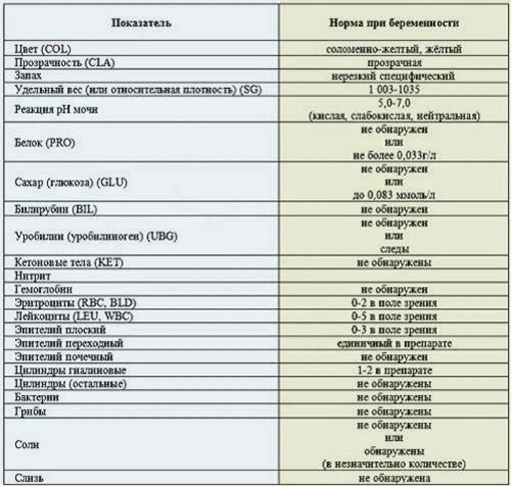 Общий белок при беременности норма. Анализ мочи при беременности норма 2. ОАМ норма у беременных. ОАМ при беременности норма. Общий клинический анализ мочи при беременности норма.