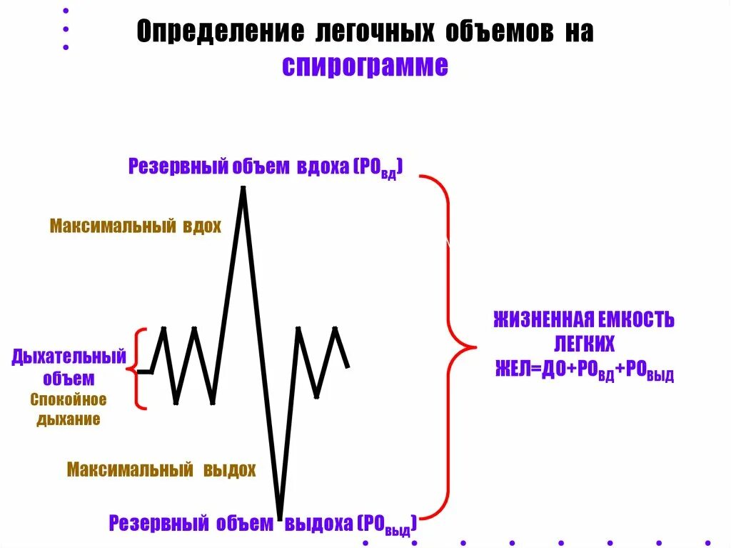 Что определяет спирограмма. Показатели спирограммы физиология. легочные объемы спирограмма физиология. дыхательный объем на спирограмме. резервный объем вдоха на спирограмме.