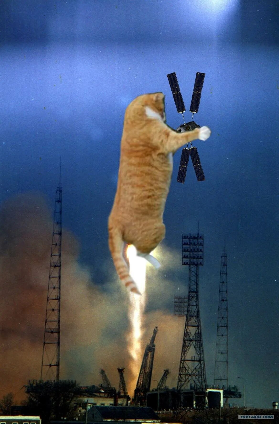 Кот улетел. Кот на ракете. кошка в космосе. кот улетает в космос. кот на ракете улетает.