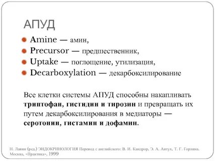 Апуд система