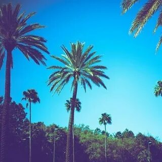 California dreaming